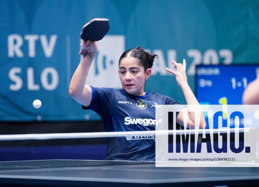 Angelina Bebawy of Sweden (photo ms0986b) at the 2026 European Table Tennis Championships in Ljubljana LJUBLJANA, SLOVENIA, OCTOBER 11, 2026 Angelina Bebawy of Sweden (photo ms0986b) in action at the European Table Tennis Championships at Stozice Arena in Ljubljana, Slovenia. Photo by Manfred Schillings. Ljubljana, Stozice Arena, Slovenia