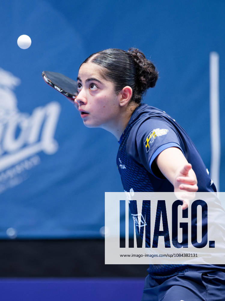 Angelina Bebawy of Sweden (photo ms1005b) at the 2026 European Table Tennis Championships in Ljubljana LJUBLJANA, SLOVENIA, OCTOBER 11, 2026 Angelina Bebawy of Sweden (photo ms1005b) in action at the European Table Tennis Championships at Stozice Arena in Ljubljana, Slovenia. Photo by Manfred Schillings. Ljubljana, Stozice Arena, Slovenia