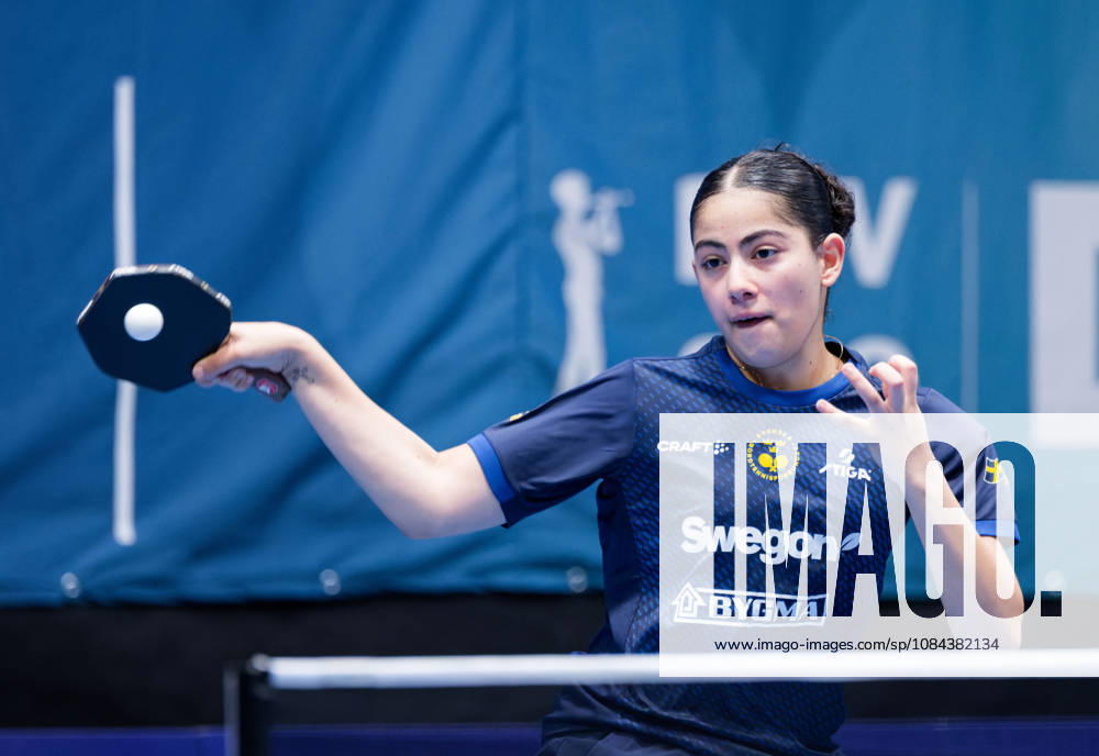 Angelina Bebawy of Sweden (photo ms1008b) at the 2026 European Table Tennis Championships in Ljubljana LJUBLJANA, SLOVENIA, OCTOBER 11, 2026 Angelina Bebawy of Sweden (photo ms1008b) in action at the European Table Tennis Championships at Stozice Arena in Ljubljana, Slovenia. Photo by Manfred Schillings. Ljubljana, Stozice Arena, Slovenia