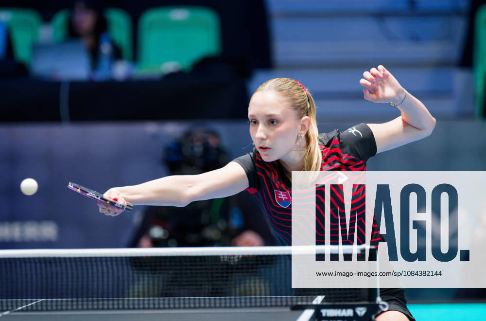 Dominika Wiltschkova of Slovakia (photo ms1028b) at the 2026 European Table Tennis Championships in Ljubljana LJUBLJANA, SLOVENIA, OCTOBER 11, 2026 Dominika Wiltschkova of Slovakia (photo ms1028b) in action at the European Table Tennis Championships at Stozice Arena in Ljubljana, Slovenia. Photo by Manfred Schillings. Ljubljana, Stozice Arena, Slovenia