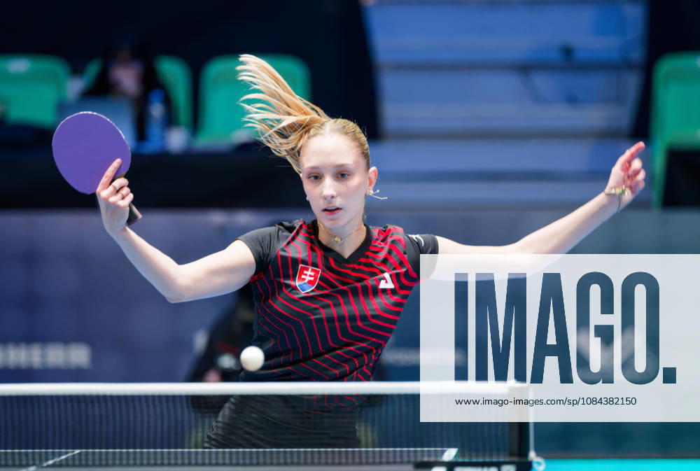 Dominika Wiltschkova of Slovakia (photo ms1030b) at the 2026 European Table Tennis Championships in Ljubljana LJUBLJANA, SLOVENIA, OCTOBER 11, 2026 Dominika Wiltschkova of Slovakia (photo ms1030b) in action at the European Table Tennis Championships at Stozice Arena in Ljubljana, Slovenia. Photo by Manfred Schillings. Ljubljana, Stozice Arena, Slovenia