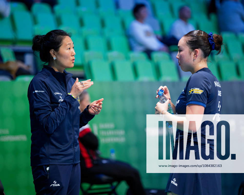 Fang Zhang of Sweden (photo ms1051b) at the 2026 European Table Tennis Championships in Ljubljana LJUBLJANA, SLOVENIA, OCTOBER 11, 2026 Fang Zhang of Sweden (photo ms1051b) in action at the European Table Tennis Championships at Stozice Arena in Ljubljana, Slovenia. Photo by Manfred Schillings. Ljubljana, Stozice Arena, Slovenia