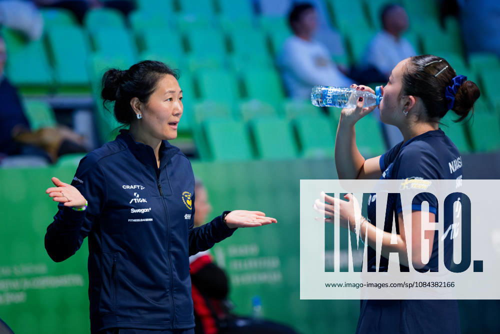Fang Zhang of Sweden (photo ms1052b) at the 2026 European Table Tennis Championships in Ljubljana LJUBLJANA, SLOVENIA, OCTOBER 11, 2026 Fang Zhang of Sweden (photo ms1052b) in action at the European Table Tennis Championships at Stozice Arena in Ljubljana, Slovenia. Photo by Manfred Schillings. Ljubljana, Stozice Arena, Slovenia