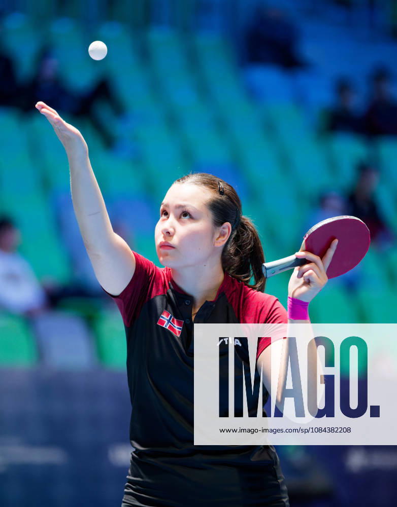 Martine Toftaker of Norway (photo ms1034b) at the 2026 European Table Tennis Championships in Ljubljana LJUBLJANA, SLOVENIA, OCTOBER 11, 2026 Martine Toftaker of Norway (photo ms1034b) in action at the European Table Tennis Championships at Stozice Arena in Ljubljana, Slovenia. Photo by Manfred Schillings. Ljubljana, Stozice Arena, Slovenia