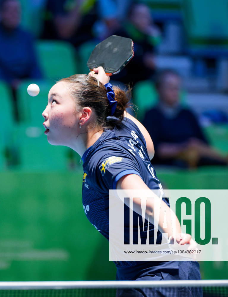 Nomin Baasan of Sweden (photo ms1038b) at the 2026 European Table Tennis Championships in Ljubljana LJUBLJANA, SLOVENIA, OCTOBER 11, 2026 Nomin Baasan of Sweden (photo ms1038b) in action at the European Table Tennis Championships at Stozice Arena in Ljubljana, Slovenia. Photo by Manfred Schillings. Ljubljana, Stozice Arena, Slovenia