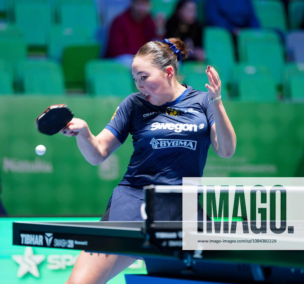 Nomin Baasan of Sweden (photo ms1042b) at the 2026 European Table Tennis Championships in Ljubljana LJUBLJANA, SLOVENIA, OCTOBER 11, 2026 Nomin Baasan of Sweden (photo ms1042b) in action at the European Table Tennis Championships at Stozice Arena in Ljubljana, Slovenia. Photo by Manfred Schillings. Ljubljana, Stozice Arena, Slovenia