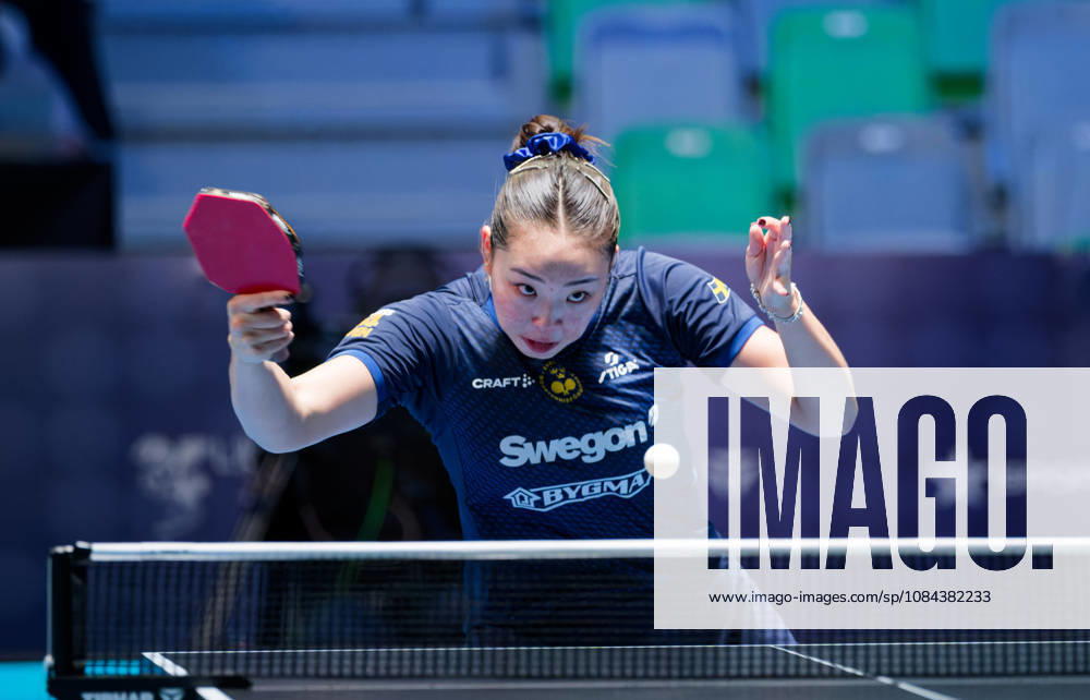 Nomin Baasan of Sweden (photo ms1046b) at the 2026 European Table Tennis Championships in Ljubljana LJUBLJANA, SLOVENIA, OCTOBER 11, 2026 Nomin Baasan of Sweden (photo ms1046b) in action at the European Table Tennis Championships at Stozice Arena in Ljubljana, Slovenia. Photo by Manfred Schillings. Ljubljana, Stozice Arena, Slovenia