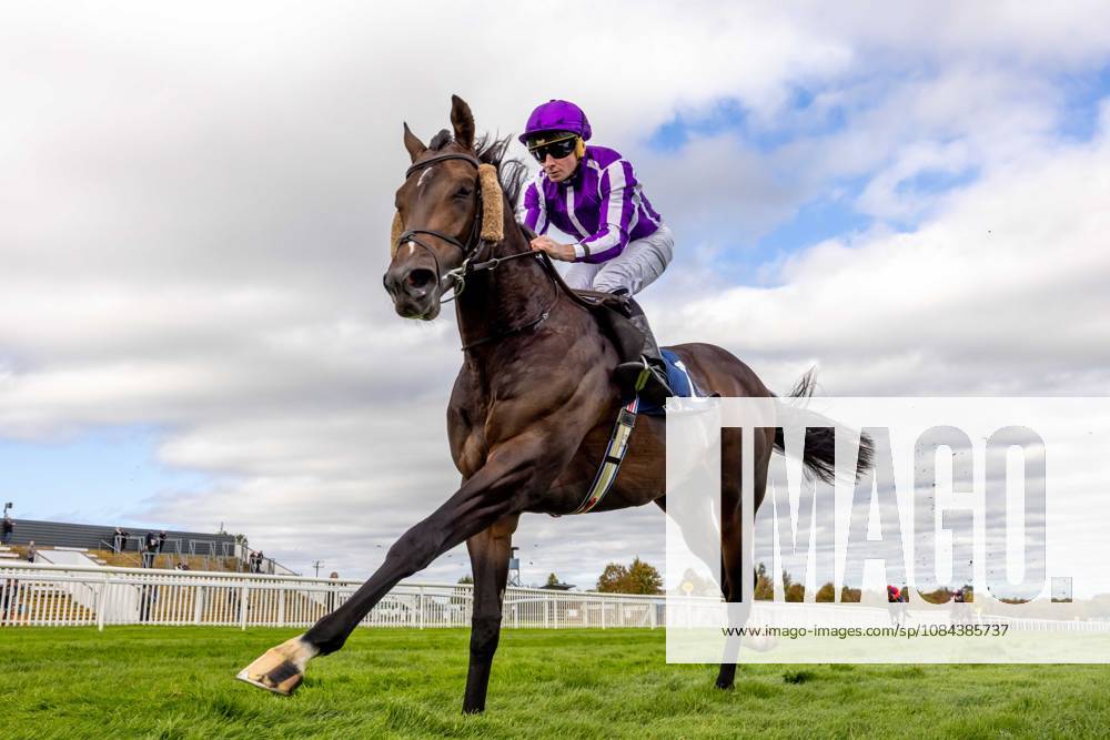 REPRO FREE *PRESS RELEASE NO REPRODUCTION FEE* October Weekend Meeting 2026, Naas Racecourse, Kildare 11 10 2026 Ryan Moore on Bengal Tiger wins The Tifrums Irish EBF (C & G) Maiden Ryan Moore on Bengal Tiger 11 10 2026
