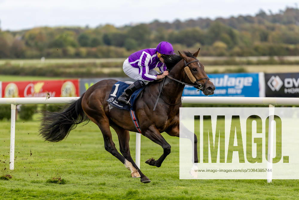 REPRO FREE *PRESS RELEASE NO REPRODUCTION FEE* October Weekend Meeting 2026, Naas Racecourse, Kildare 11 10 2026 Ryan Moore on Bengal Tiger wins The Tifrums Irish EBF (C & G) Maiden Ryan Moore on Bengal Tiger 11 10 2026