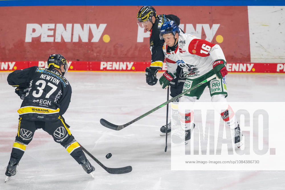 Face-off between Max Newton (Krefeld Pinguine, 37), Cameron Wright (Augsburger Panther, 16), and Philip Gogulla (Krefeld Pinguine, 87) – Krefeld Pinguine vs. Augsburger Panther, ice hockey, Penny DEL, Matchday 8, 2026–2027 season, October 11, 2026 Krefeld Pinguine vs. Augsburger Panther, ice hockey, Penny DEL, Matchday 8, 2026–2027 season, October 11, 2026, Krefeld