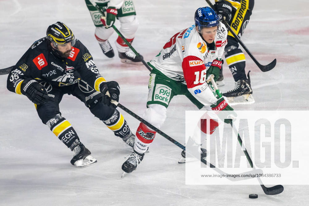 Face-off between Davis Vandane of the Krefeld Pinguine (55) and Cameron Wright of the Augsburger Panther (16); Krefeld Pinguine vs. Augsburger Panther, ice hockey, Penny DEL, Matchday 8, 2026–2027 season, October 11, 2026, Krefeld Pinguine vs. Augsburger Panther, Ice Hockey, Penny DEL, Matchday 8, 2026–2027 Season, October 11, 2026, Krefeld