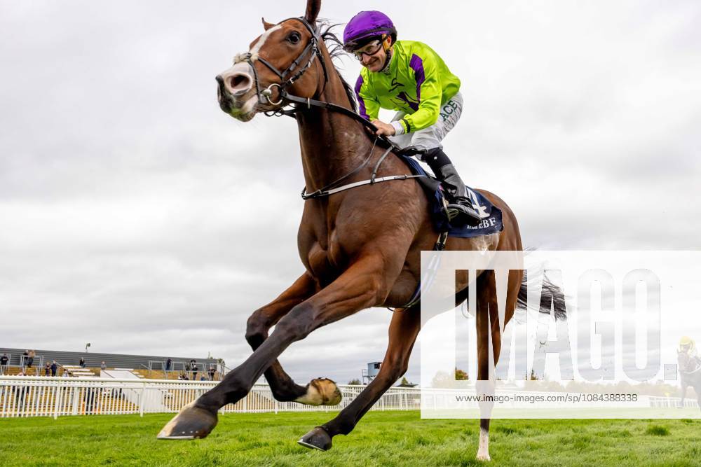 REPRO FREE *PRESS RELEASE NO REPRODUCTION FEE* October Weekend Meeting 2026, Naas Racecourse, Kildare 11 10 2026 Shane Foley on Diamonds and Dames wins The Irish EBF Auction Series Race Final Shane Foley on Diamonds and Dames 11 10 2026