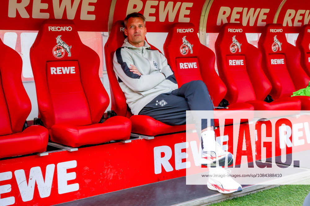 Soccer, Bundesliga, 1. FC Köln vs. Borussia Mönchengladbach, RheinEnergieSTADION, Matchday 5, 2026–2027 season: Alexander Blessin, Borussia Mönchengladbach coach, on the bench before the game. DFB regulations prohibit any use of photographs as image sequences and or quasi-video. Photo: WilkowskixPressefotoKochx, North Rhine-Westphalia, Germany