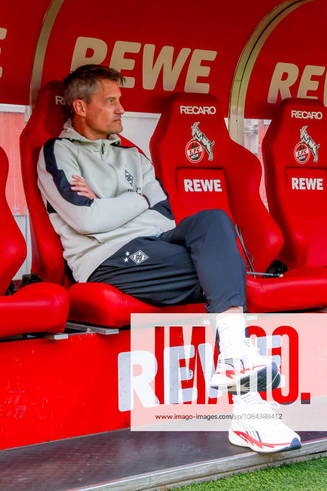Soccer, Bundesliga, 1. FC Köln vs. Borussia Mönchengladbach, RheinEnergieSTADION, Matchday 5, 2026–2027 season: Alexander Blessin, Borussia Mönchengladbach coach, on the bench before the game. DFB regulations prohibit any use of photographs as image sequences and or quasi-video. Photo: WilkowskixPressefotoKochx, North Rhine-Westphalia, Germany