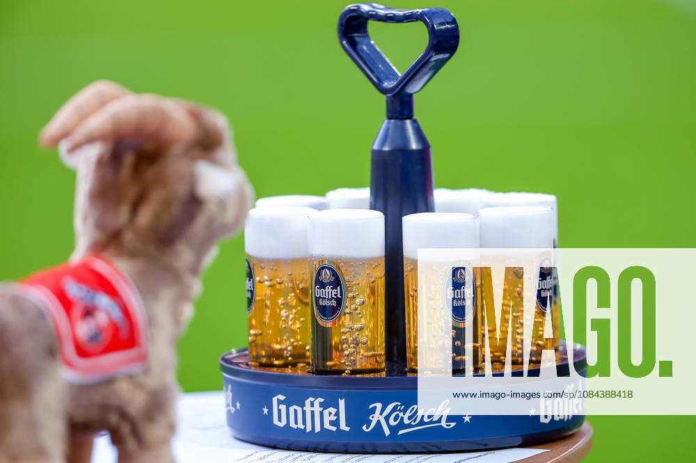 Soccer, Bundesliga, 1. FC Köln vs. Borussia Mönchengladbach, RheinEnergieSTADION, Matchday 5, 2026–2027 season. A man wearing a Gaffel Kölsch T-shirt with the Hennes goat mascot in the foreground. DFB regulations prohibit any use of photographs as image sequences and or quasi-video. Photo: WilkowskixPressefotoKochx, North Rhine-Westphalia, Germany