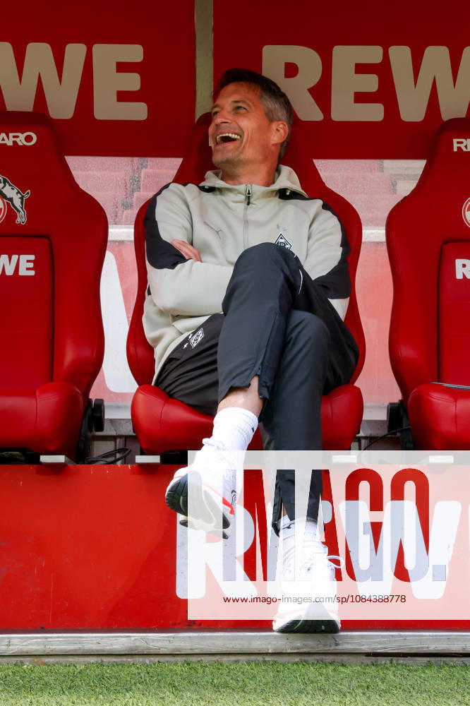 Soccer, Bundesliga, 1. FC Köln vs. Borussia Mönchengladbach, RheinEnergieSTADION, Matchday 5, 2026–2027 season: Alexander Blessin, Borussia Mönchengladbach coach, laughing on the bench before the game. DFB regulations prohibit any use of photographs as image sequences and or quasi-video. Photo: WilkowskixPressefotoKochx, North Rhine-Westphalia, Germany