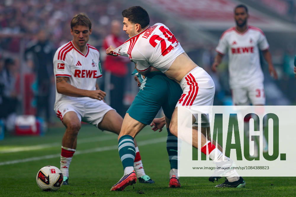 Soccer, Bundesliga, 1. FC Köln vs. Borussia Mönchengladbach, RheinEnergieSTADION, Matchday 5, 2026–2027 Season: Luka Lochoshvili of 1. FC Köln (No. 24) in a tackle against Isac Lidberg of Borussia Mönchengladbach (No. 3). DFB regulations prohibit any use of photographs as image sequences and or quasi-video. Photo: WilkowskixPressefotoKochx, North Rhine-WestGermany