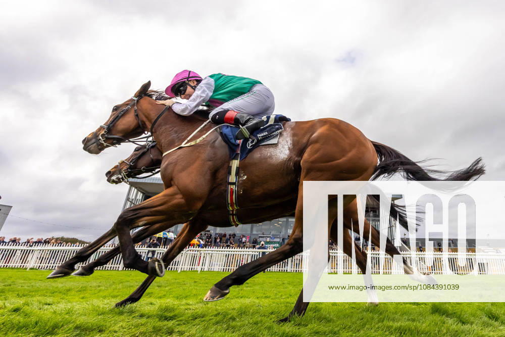 REPRO FREE *PRESS RELEASE NO REPRODUCTION FEE* October Weekend Meeting 2026, Naas Racecourse, Kildare 11 10 2026 Joey Sheridan on Princess Child, farside, gets the better of Colin Keane on Faiyum in a photo finish to the The Irish Stallion Farms EBF Garnet Stakes (Listed) Joey Sheridan on Princess Child, farside, gets the better of Colin Keane on Faiyum 11 10 2026