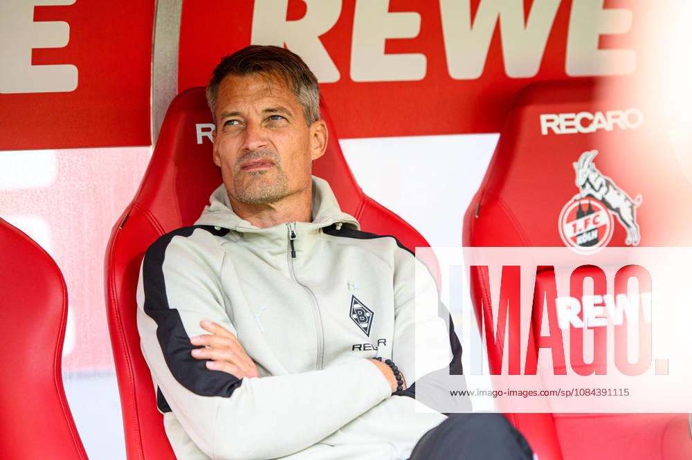 COLOGNE, GERMANY - 11 OCTOBER, 2026: Alexander Blessin, head coach - The Bundesliga match 1. FC Koeln vs. Borussia Moenchengladbach at RheinEnergieSTADION.