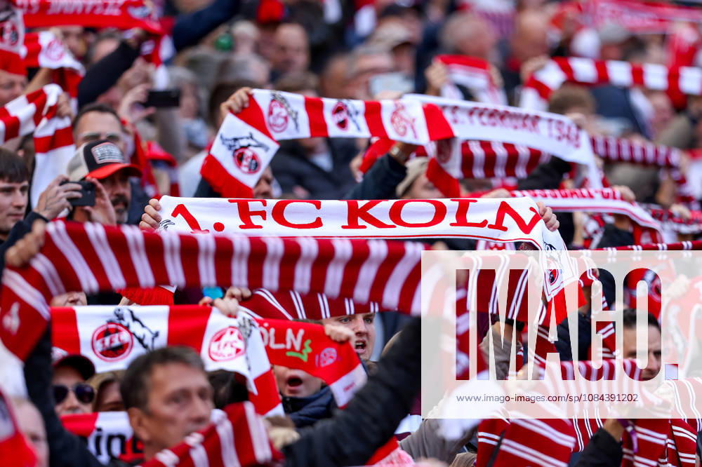 Soccer, Bundesliga, 1. FC Köln vs. Borussia Mönchengladbach, RheinEnergieSTADION, Matchday 5, 2026–2027 season; scarves in red and white with 1 FC Köln lettering; DFB regulations prohibit any use of photographs as image sequences and or quasi-video; Photo: WilkowskixPressefotoKochx; North Rhine-Westphalia, Germany