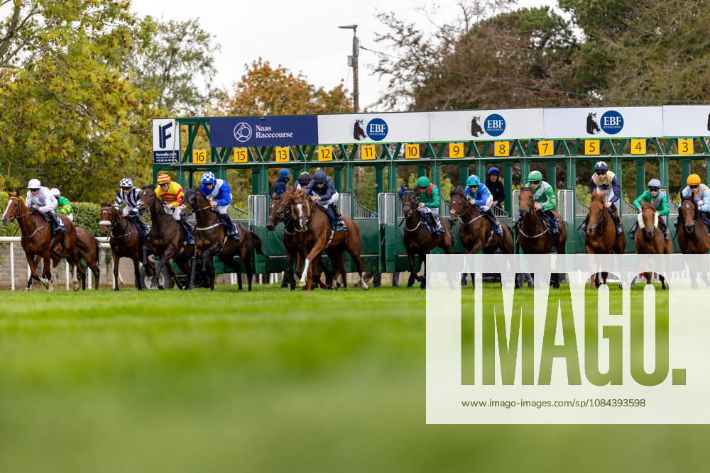 REPRO FREE *PRESS RELEASE NO REPRODUCTION FEE* October Weekend Meeting 2026, Naas Racecourse, Kildare 11 10 2026 The horses and riders break from the stalls in The Irish Stallion Farms EBF Bluebell Stakes (Listed) The horses and riders break from the stalls 11 10 2026