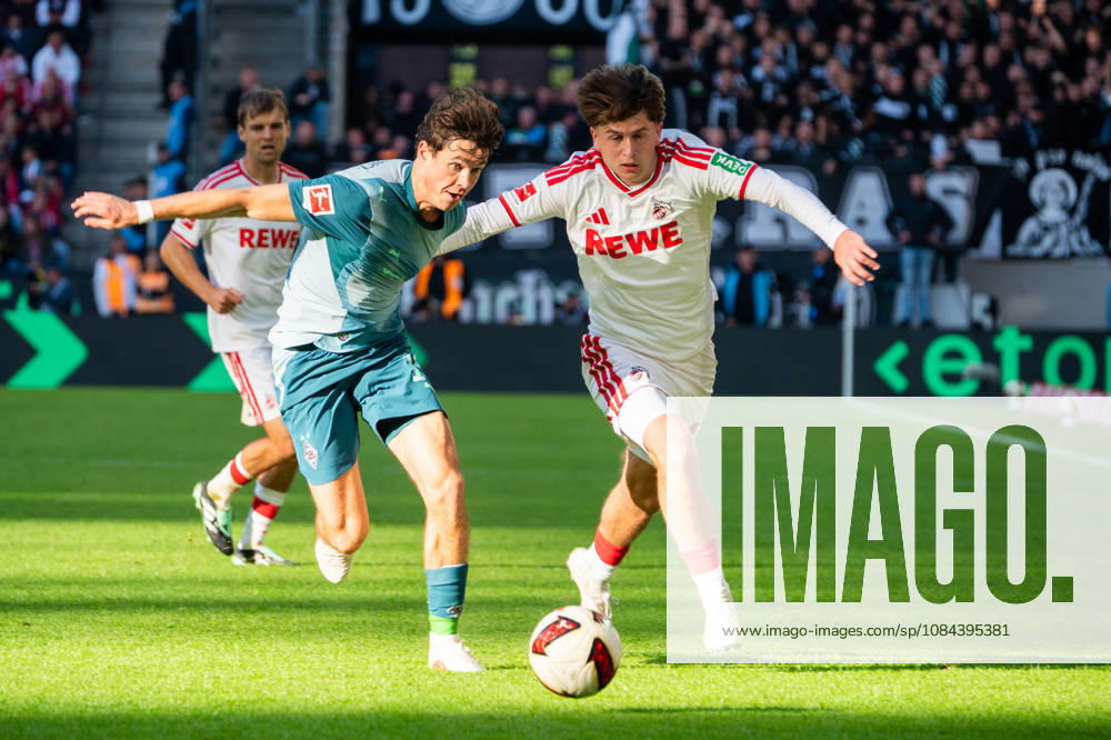 Germany 1 Bundesliga 2026–2027, Matchday 5, 1. FC Köln vs. Borussia Mönchengladbach, Sunday, October 11, 2026, RheinEnergie Stadium, Cologne, North Rhine-Westphalia, Mikey Moore, 1. FC Köln, 74, tackle, game action, duel, tackle, tackling, dynamic, action, against Philipp Sander, Borussia Mönchengladbach, 16, Cologne, RheinEnergie Stadium, Cologne, Germany