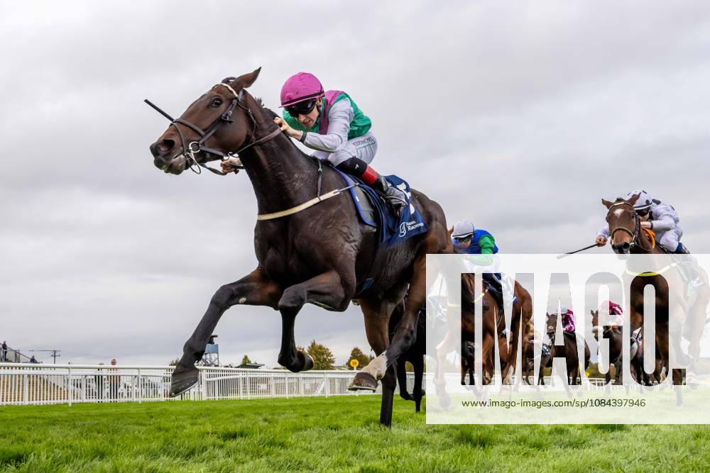 REPRO FREE *PRESS RELEASE NO REPRODUCTION FEE* October Weekend Meeting 2026, Naas Racecourse, Kildare 11 10 2026 Colin Keane on Abbotsford wins The Colm White Bookmaker Beggar s End Handicap Colin Keane on Abbotsford 11 10 2026