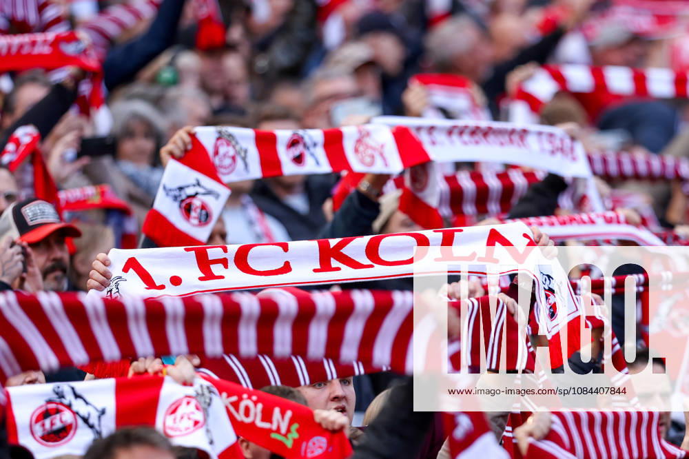 Soccer, Bundesliga, 1. FC Köln vs. Borussia Mönchengladbach, RheinEnergieSTADION, Matchday 5, 2026–2027 season, 1. FC Köln fans in red and white in Block DFB regulations prohibit any use of photographs as image sequences and or quasi-video. Photo: WilkowskixPressefotoKochx, North Rhine-Westphalia, Germany