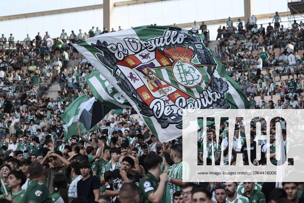 Real Betis and CA Osasuna - LaLiga EA Sports SEVILLA, SPAIN - OCTOBER 11: Fans of Real Betis during the LaLiga EA Sports 2026 27 match between Real Betis and CA Osasuna at La Cartuja Stadium on October 11, 2026 in Sevilla, Spain. (Photo by Rafael Roman Photo Players Images Magara Press) Sevilla La Cartuja Stadium Spain