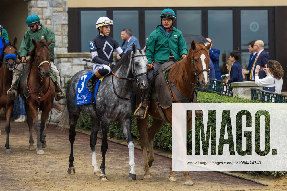 HORSE RACING 2026: Franklin Stakes Day Keeneland OCT 11 October 11, 2026, USA: Time to Dazzle (3) ridden by Irad Ortiz Jr. wins the Franklin Stakes at Keeneland Race Course in Lexington, Kentucky on October 11, 2026. Casey Laughter Eclipse Sportswire CSM(Credit Image: Â Casey Laughter Cal Media) USA