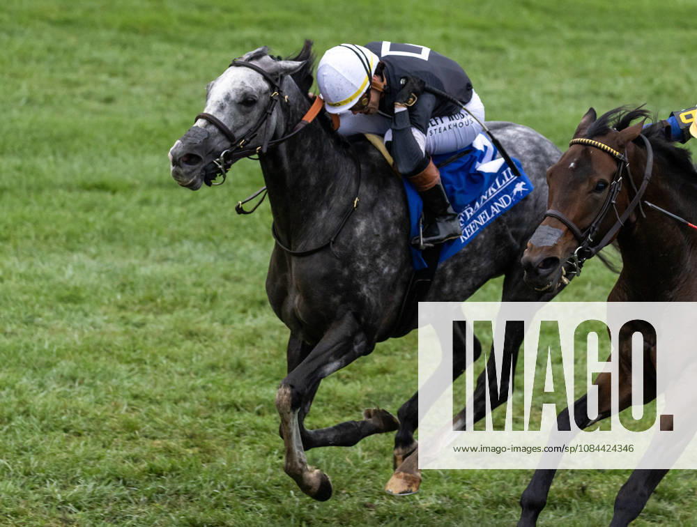 HORSE RACING 2026: Franklin Stakes Day Keeneland OCT 11 October 11, 2026, Lexington, Ky, USA: Time to Dazzle (3) ridden by Irad Ortiz Jr wins the Franklin Stakes Day on October 11, 2026. Candice Chavez Eclipse Sportswire CSM(Credit Image: Â {Serial Cal Media) Lexington Ky USA
