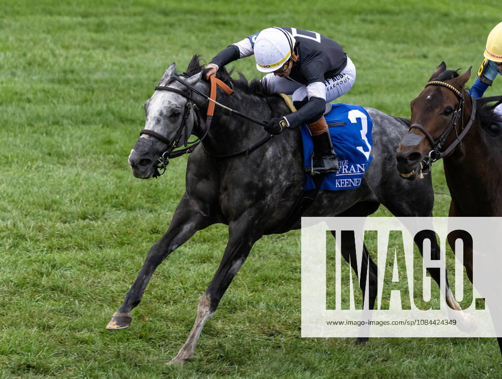 HORSE RACING 2026: Franklin Stakes Day Keeneland OCT 11 October 11, 2026, Lexington, Ky, USA: Time to Dazzle (3) ridden by Irad Ortiz Jr wins the Franklin Stakes Day on October 11, 2026. Candice Chavez Eclipse Sportswire CSM(Credit Image: Â {Serial Cal Media) Lexington Ky USA