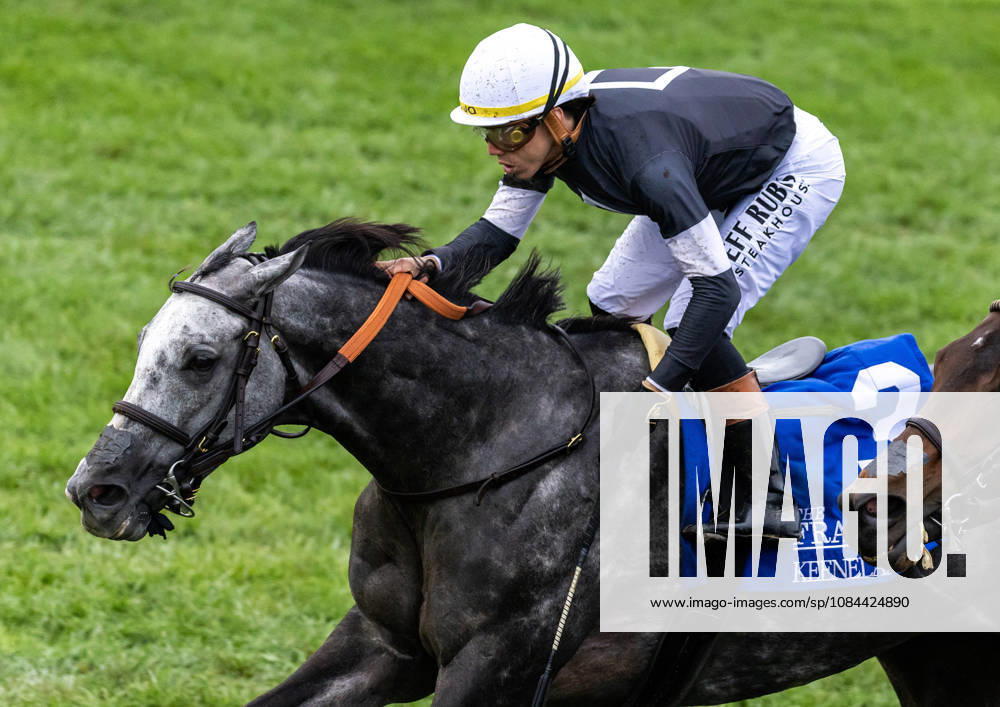 HORSE RACING 2026: Franklin Stakes Day Keeneland OCT 11 October 11, 2026, Lexington, Ky, USA: Time to Dazzle (3) ridden by Irad Ortiz Jr wins the Franklin Stakes Day on October 11, 2026. Candice Chavez Eclipse Sportswire CSM(Credit Image: Â {Serial Cal Media) Lexington Ky USA