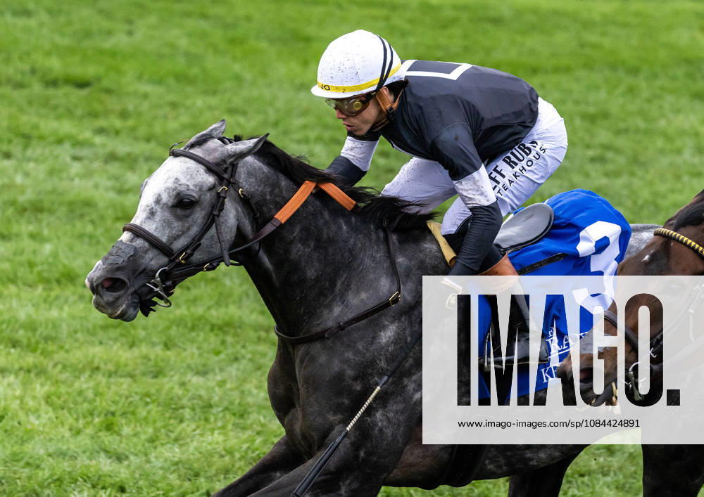 HORSE RACING 2026: Franklin Stakes Day Keeneland OCT 11 October 11, 2026, Lexington, Ky, USA: Time to Dazzle (3) ridden by Irad Ortiz Jr wins the Franklin Stakes Day on October 11, 2026. Candice Chavez Eclipse Sportswire CSM(Credit Image: Â {Serial Cal Media) Lexington Ky USA