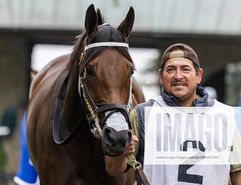 HORSE RACING 2026: Franklin Stakes Day Keeneland OCT 11 October 11, 2026, Lexington, Ky, USA: Itzel (2) in the paddock before the Franklin Stakes on Franklin Stakes Day on October 11, 2026. Candice Chavez Eclipse Sportswire CSM(Credit Image: Â {Serial Cal Media) Lexington Ky USA