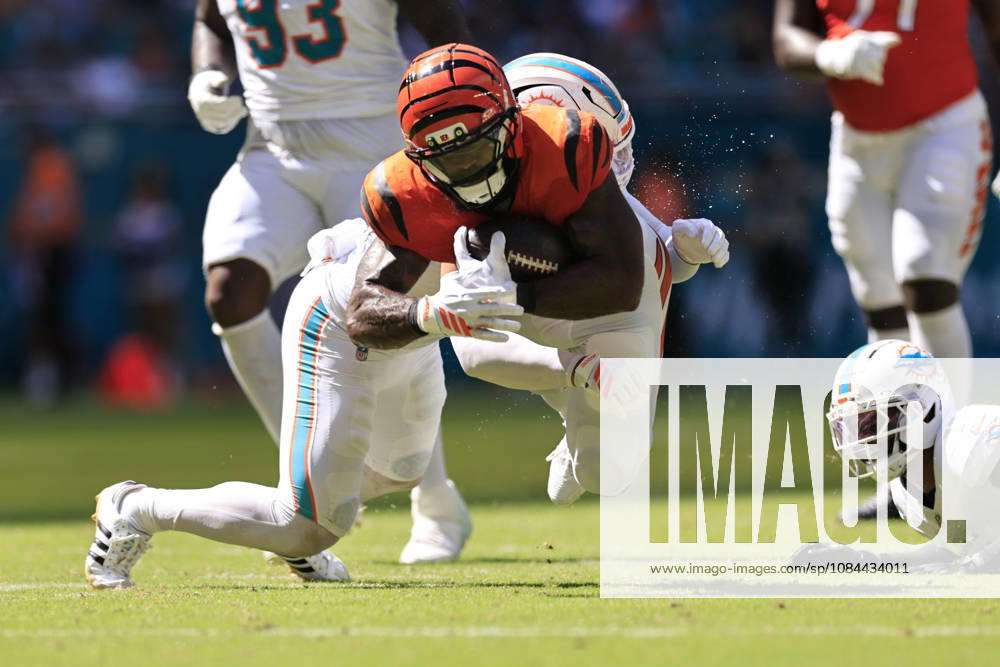 Cincinnati Bengals running back Samaje Perine (34) runs with the ball during an NFL, American Football Herren, USA game against the Miami Dolphins on Sunday, October 11, 2026 at the Hard Rock Stadium. The Bengals beat the Dolphins 31-24. Miami Gardens United States - ZUMAh180 20261011_zsp_h180_034