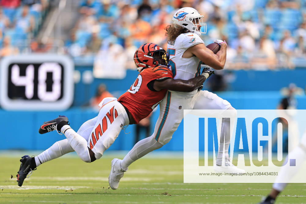 Miami Dolphins tight end Greg Dulcich (85) makes a reception and turns to run with the ball while tackled by Cincinnati Bengals linebacker Barrett Carter (49) during an NFL, American Football Herren, USA game on Sunday, October 11, 2026 at the Hard Rock Stadium. The Bengals beat the Dolphins 31-24. NFL 2026: Cincinnati Bengals 31 : 24 Miami Dolphins - ZUMAh180 20261011_zsp_h180_066