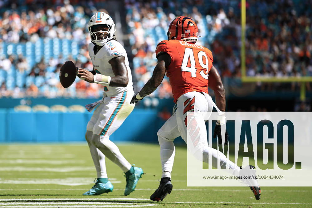 Miami Dolphins quarterback Malik Willis (2) looks for an open receiver before being sacked by .Cincinnati Bengals linebacker Barrett Carter (49) during an NFL, American Football Herren, USA game on Sunday, October 11, 2026 at the Hard Rock Stadium. The Bengals beat the Dolphins 31-24. Miami Gardens United States - ZUMAh180 20261011_zsp_h180_052