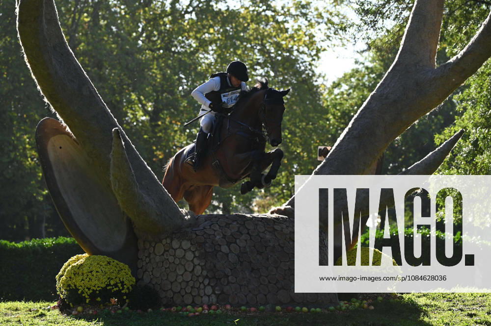 MONDIAL DU LION 2026 - CROSS COUNTRY LE LION-D ANGERS, FRANCE - OCTOBER 17, 2026 : Miloslav Prihoda Jr riding Numero-K during the cross-country competition at the Mondial du Lion 2026, FEI WBFSH Eventing World Breeding Championship for Young Horses. Le Lion-d AngersFrance