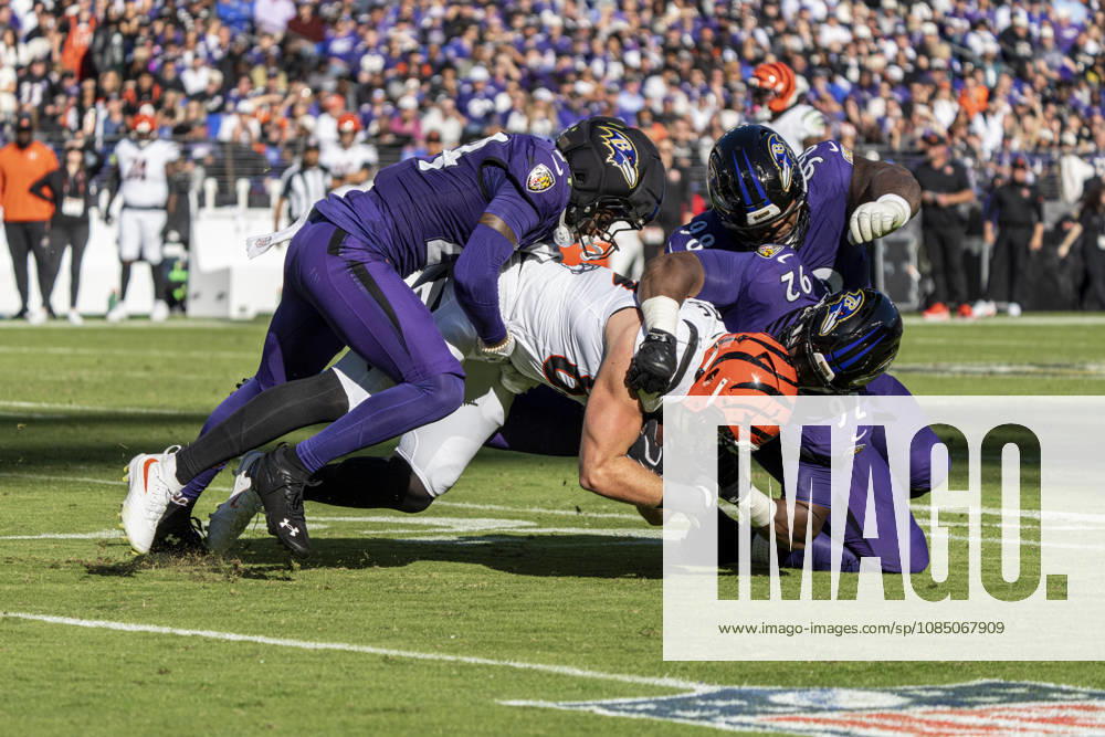 BALTIMORE, MD - OCTOBER 25: Drew Sample 89 of the Cincinnati Bengals is tackled by Malaki Starks 24 of the Baltimore Ravens, Nnamdi Madubuike 92 of the Baltimore Ravens, and Mark Andrews 89 of the Baltimore Ravens during an NFL, American Football Herren, USA football game between the Baltimore Ravens and the Cincinnati Bengals at M&T Bank Stadium on October 25, 2026 in Baltimore, Maryland. (Photo by Ben Hsu Icon Sportswire) NFL: OCT 25 Bengals at Ravens Icon224261025034