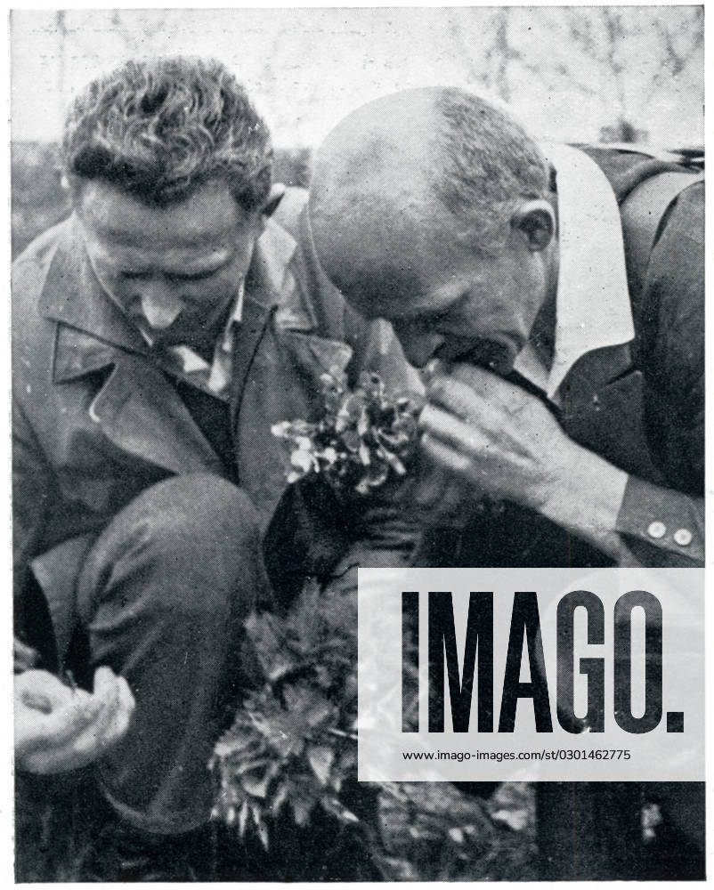 Wandervogel Movement - vegetarian hikers forage for food Members of the Sunday Plant Gatherers , a vegetarian hiking organisation, forage for food and find stinging nettles palatable and wholesome when cooked. Date: 1932