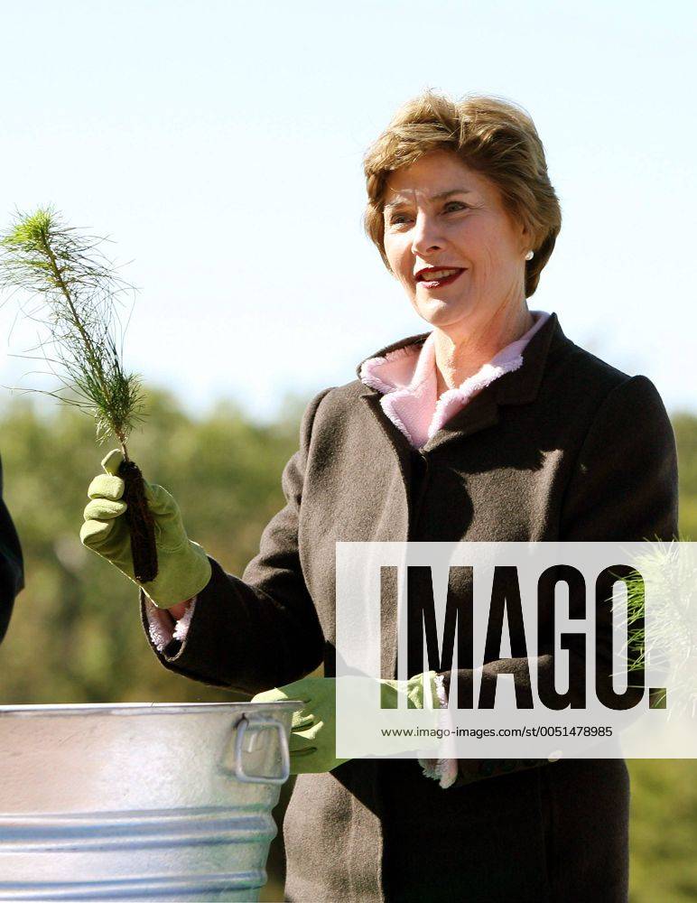 First Lady Laura Bush (USA) mit einer kleinen Weymouthskiefer anlässlich einer Pflanzaktion im Forest Park in St. Louis anlässlich des 50 jährigen Bestehens der - Enterprise Rent-A-Car - slp2006101201