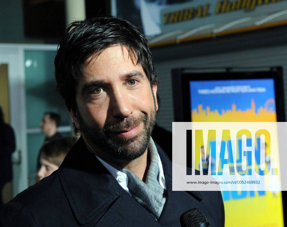 Schauspieler David Schwimmer anlässlich der Filmpremiere von - Run Fatboy Run - in Los Angeles - (LAP2008032442)
