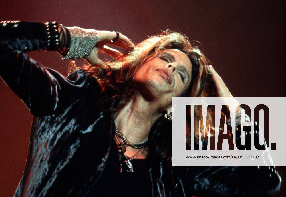 Sänger Steven Tyler (Aerosmith) während des Rock im Park Festivals in Nürnberg