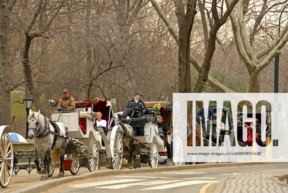 Kutschen im Central Park, USA, New York City Carriages at Central Park, USA, New York City BLWS239819