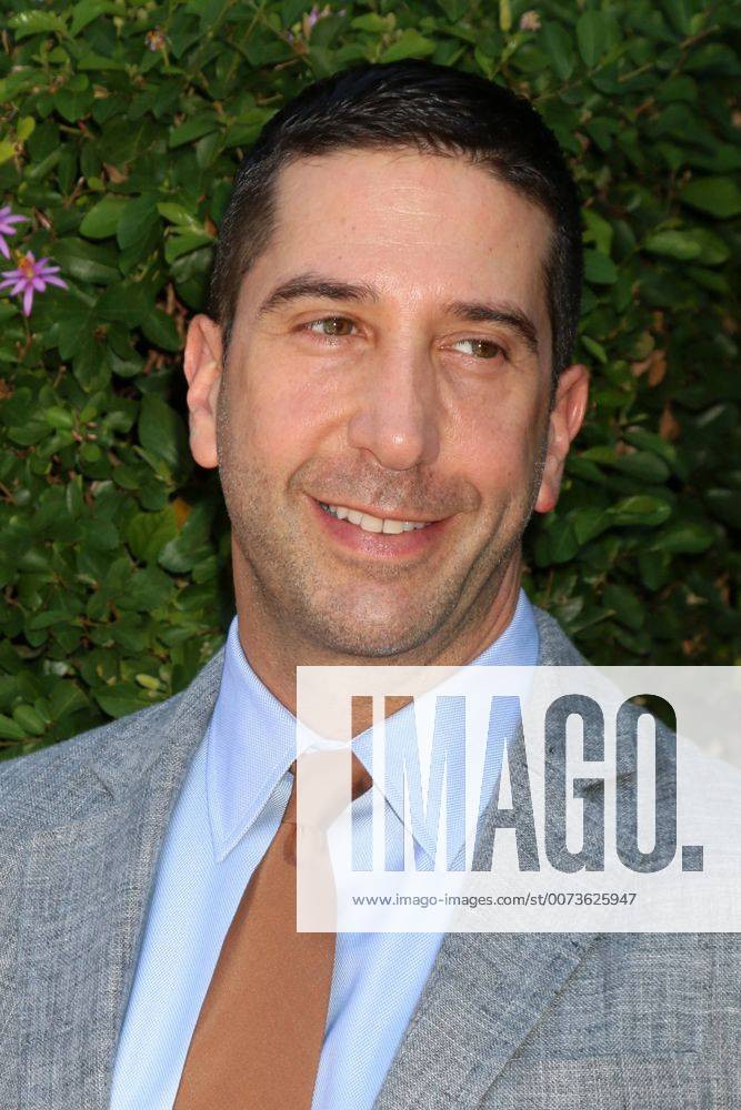 LOS ANGELES - SEP 25: David Schwimmer at the The Rape Foundation s Annual Brunch at the Private Residence on September 25, 2016 in Beverly Hills, CA