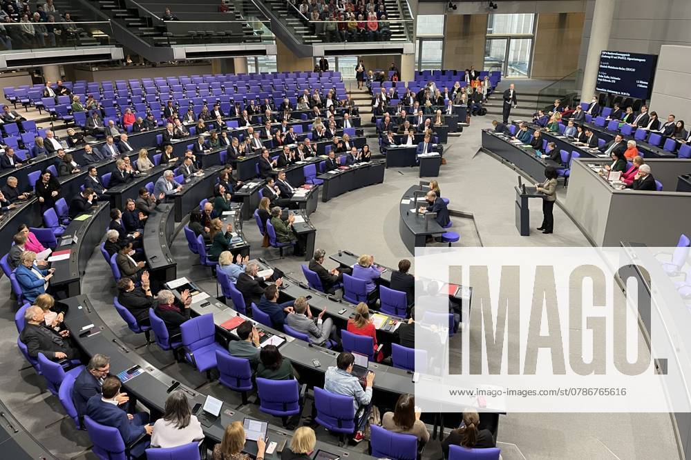 German Bundestag 207 Bundestag session Bundestag debate on strengthening the Federal Constitutional Court