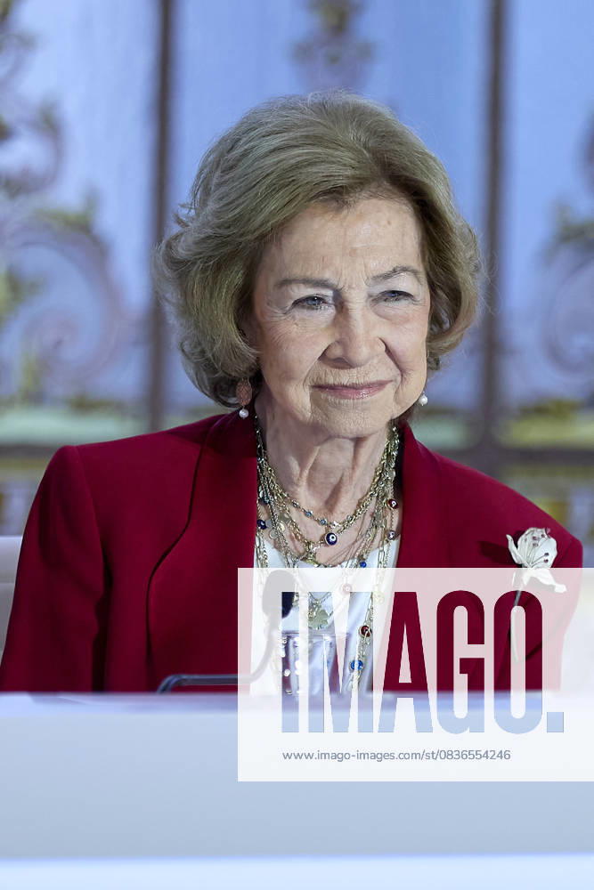QUEEN SOFÃªA attends MAPFRE Foundation awards Madrid SPAIN - ZUMAc260 20251008_zep_c260_011