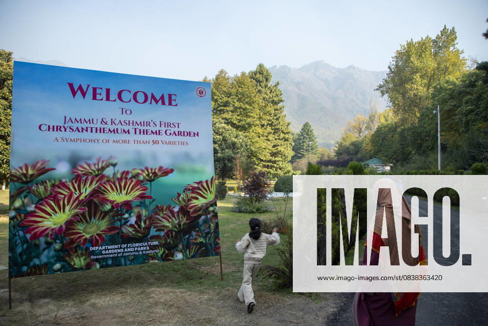 People stroll through the newly opened Chrysanthemum Garden at the Botanical Garden in Srinagar. Surrounded by a vibrant display of hundreds of blooming varieties, the garden has begun captivating visitors and nature lovers amid the autumn season. The government-backed initiative aims to boost tourism in the Himalayan region, badly hit after the deadly Pahalgam attack that killed 26 Indian Hindu tourists. The colorful garden adds fresh charm to the citys scenic landscape and underscores efforts to promote eco-tourism in Jammu and Kashmir. Srinagar India - ZUMAs197 20251028_aaa_s197_002