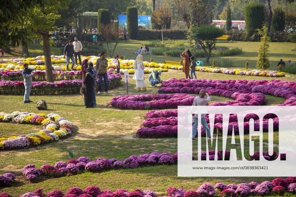 People stroll through the newly opened Chrysanthemum Garden at the Botanical Garden in Srinagar. Surrounded by a vibrant display of hundreds of blooming varieties, the garden has begun captivating visitors and nature lovers amid the autumn season. The government-backed initiative aims to boost tourism in the Himalayan region, badly hit after the deadly Pahalgam attack that killed 26 Indian Hindu tourists. The colorful garden adds fresh charm to the citys scenic landscape and underscores efforts to promote eco-tourism in Jammu and Kashmir. Srinagar India - ZUMAs197 20251028_aaa_s197_003